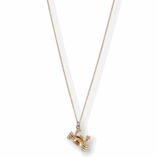 Crab ketting goud